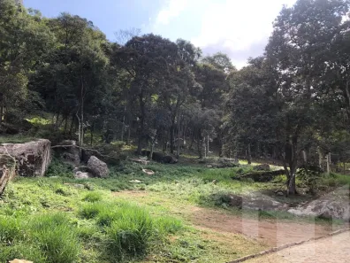 Lote/Terreno à venda, 7610m² no Pedro do Rio, Petrópolis