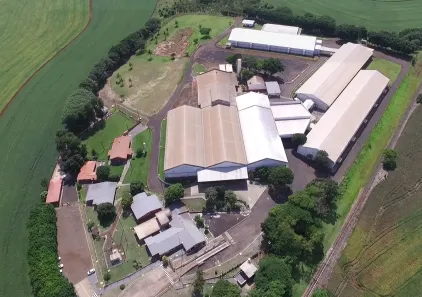 Galpão/Depósito/Armazém à venda, 19299m² no Andirá, Andirá