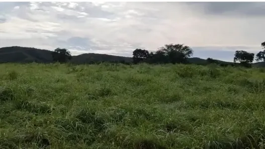 Fazenda/Sítio com 3 Quartos à venda, 2442m² no , Nova Xavantina