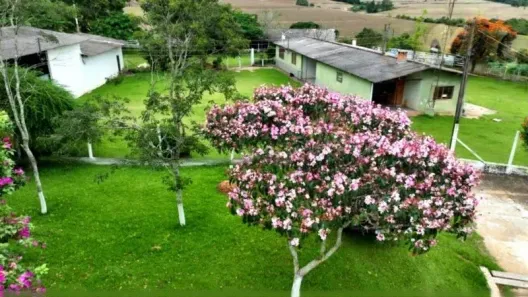 Fazenda/Sítio com 3 Quartos à venda, 200m² no Varginha, Itapetininga