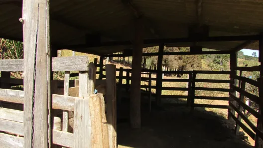 Fazenda/Sítio à venda, 30000m² no Vila Centro, Extrema