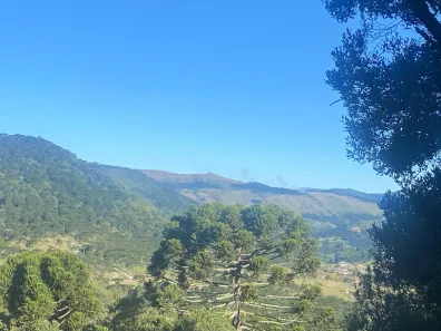 Lote/Terreno à venda, 150000m² no , Urubici