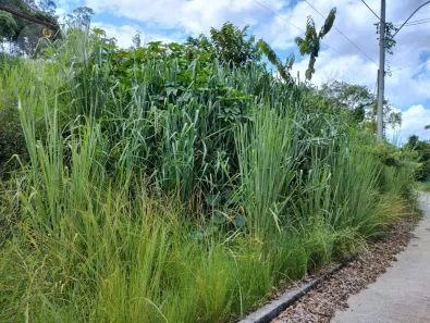 Lote/Terreno à venda, 727m² no Ipiíba, São Gonçalo