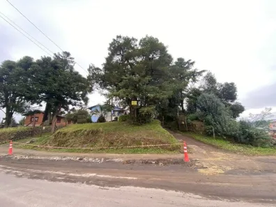Lote/Terreno à venda, 2120m² no Vale Verde, Canela