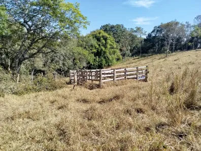 Fazenda/Sítio à venda, 60000m² no , Carmópolis de Minas