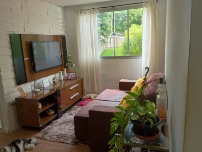 Apartamento com 2 Quartos à venda, 54m² no Parque Yolanda (Nova Veneza), Sumaré