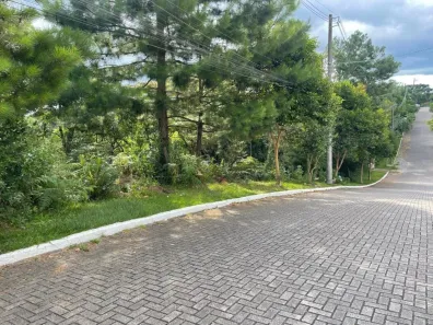 Lote/Terreno à venda, 4649m² no Mato Queimado, Gramado