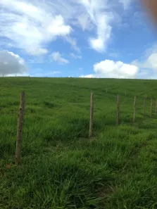 Fazenda/Sítio à venda, 1452000m² no Área Rural de Aracruz, Aracruz