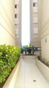 Apartamento com 2 Quartos à venda, 54m² no Vila Humaitá, Santo André