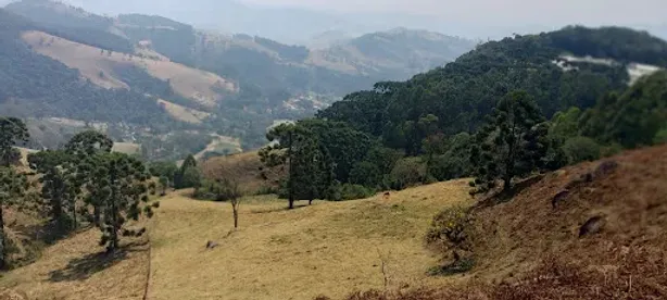 Lote/Terreno à venda, 44000m² no , Gonçalves