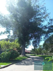 Fazenda/Sítio com 4 Quartos à venda, 358m² no Martinica, Viamão