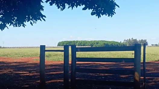 Fazenda/Sítio à venda, 100000m² no Vila Entroncamento, Campo Grande