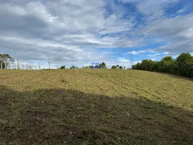 Fazenda/Sítio com 1 Quarto à venda, 5800m² no Jardim dos Cordeiros, Contenda