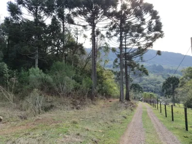 Lote/Terreno à venda, 15000m² no Área Rural de Gramado, Gramado