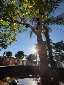 Ponto Comercial para alugar, 131m² no Residencial e Empresarial Alphaville, Ribeirão Preto