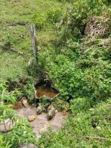 Fazenda/Sítio com 1 Quarto à venda, 90m² no Paiol velho Jose da Rosa, São Bento do Sapucaí