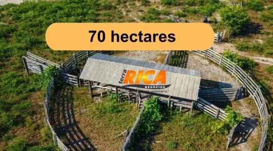 Fazenda/Sítio à venda, 700000m² no Área Rural de Porto Velho, Porto Velho