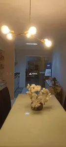 Casa de Condomínio com 2 Quartos para alugar, 51m² no Recreio dos Bandeirantes, Uberaba