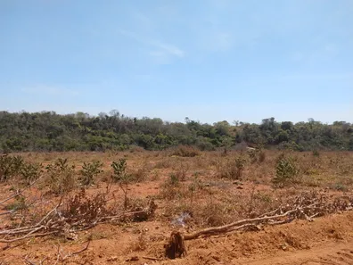 Lote/Terreno à venda, 20000m² no , Jequitibá