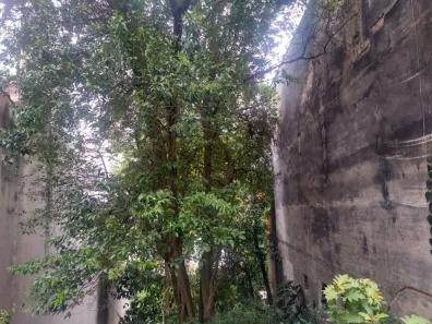 Lote/Terreno à venda, 320m² no Aclimação, São Paulo