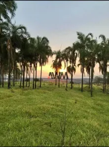 Fazenda/Sítio à venda, 803924m² no Área Rural de Trindade, Trindade