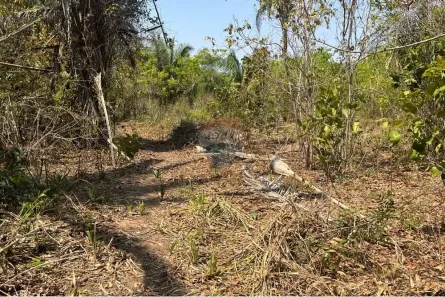 Fazenda/Sítio com 1 Quarto à venda, 1200m² no Área Rural de Rondonópolis, Rondonópolis