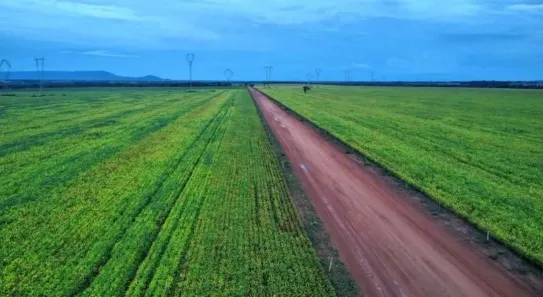 Fazenda/Sítio com 3 Quartos à venda, 1924m² no , Santa Rita do Tocantins