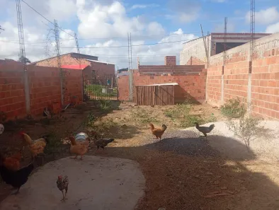 Casa com 1 Quarto à venda, 160m² no Japãozinho, Aracaju