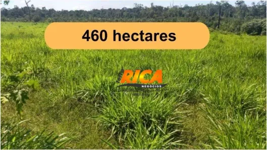 Fazenda/Sítio com 1 Quarto à venda, 4600000m² no Área Rural de Porto Velho, Porto Velho