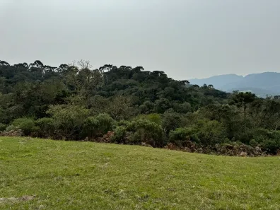 Fazenda/Sítio à venda, 20000m² no Águas Brancas, Urubici