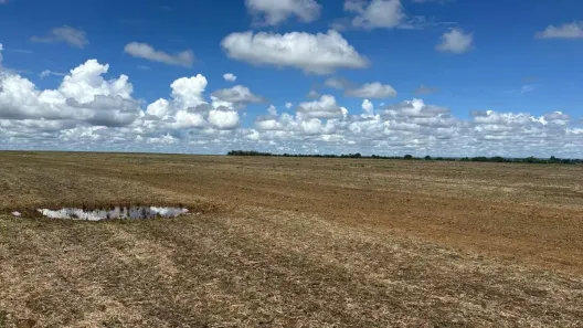Fazenda/Sítio com 2 Quartos à venda, 3968800m² no , Água Boa