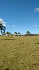 Fazenda/Sítio com 5 Quartos à venda, 2500000m² no Parque Eldorado, Eldorado do Sul