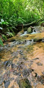 Fazenda/Sítio com 1 Quarto à venda, 30000m² no Vígolo, Nova Trento