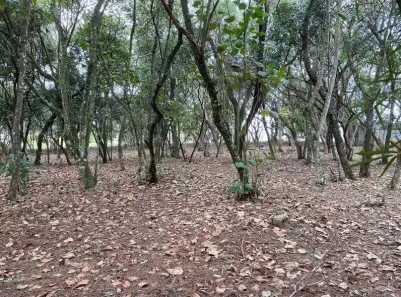 Lote/Terreno à venda, 1575m² no Vila de São Fernando, Cotia