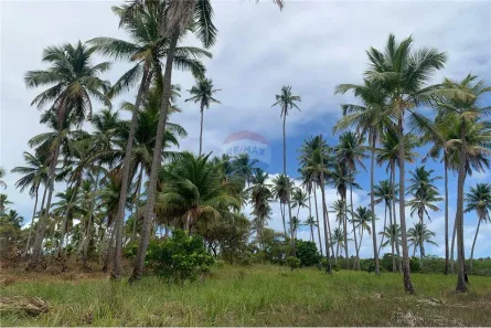 Lote/Terreno à venda, 3942m² no , Tamandaré