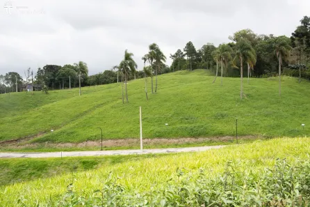 Lote/Terreno à venda, 1200m² no Saltinho, Campo Alegre