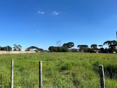 Lote/Terreno à venda, 5513m² no Centro, Pinhais