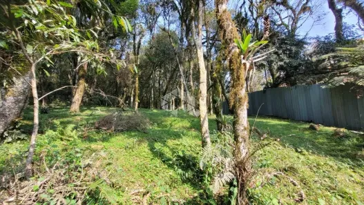 Lote/Terreno à venda, 881m² no Bosque Sinoserra, Canela