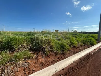 Lote/Terreno à venda, 240m² no Loteamento Santa Maria do Leme, São Carlos