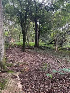 Lote/Terreno à venda, 2334m² no Garças, Belo Horizonte