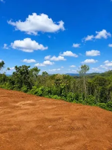 Fazenda/Sítio com 1 Quarto à venda, 9269378m² no Centro, Campo Largo