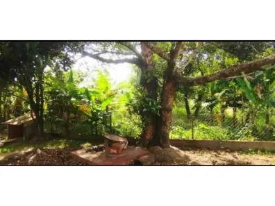 Fazenda/Sítio com 2 Quartos à venda, 250m² no Bacaetava, Iperó