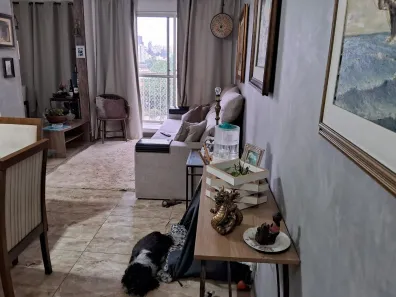 Apartamento com 3 Quartos à venda, 64m² no Cambuci, São Paulo