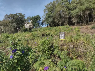 Lote/Terreno à venda, 591m² no Santo Antão, Bento Gonçalves