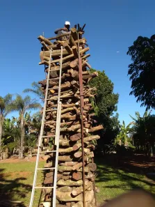 Casa com 8 Quartos à venda, 20000m² no , Brasília