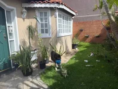 Casa com 3 Quartos à venda, 165m² no Parque Continental, São Paulo