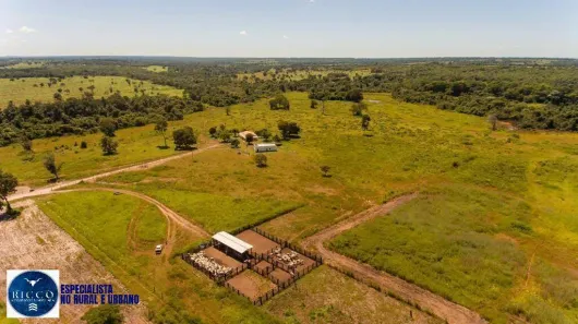 Fazenda/Sítio com 4 Quartos à venda, 100m² no Setor Central, São Miguel do Araguaia