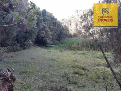 Fazenda/Sítio à venda, 20000m² no Jardim Florestal, Campo Largo