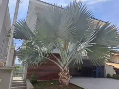 Casa de Condomínio com 4 Quartos para alugar, 481m² no Alphaville, Santana de Parnaíba