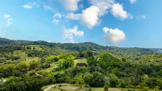 Fazenda/Sítio com 1 Quarto à venda, 20000m² no Serra Grande, Uruçuca